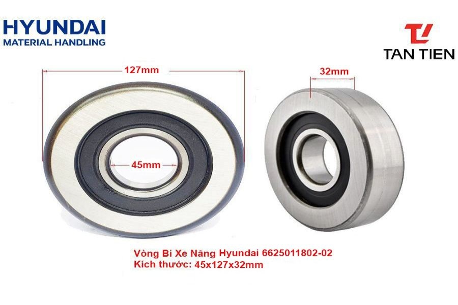 Vòng Bi 6625011800-02